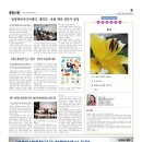 이경순 Daum카페