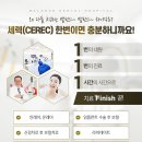 판치과기공소 이미지