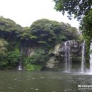 천지연폭포 이미지