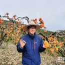동산리농산물