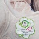 디앤와이 이미지