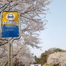 벚꽃마을경로당 이미지