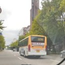 대화교통 이미지