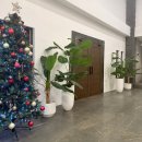 시엘로(cielo) | 필리핀 마사지샵 추천, 한국인 사장님이 운영하는 씨엘로 스파 후기