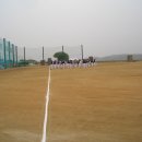 양양군 야구장 이미지