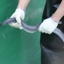 고창골프존 이미지