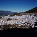 파란마을 | 아프리카 모로코 여행 2월 파란마을 쉐프샤우엔 💙🐈