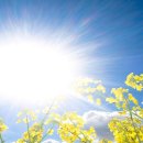 지앤비영어학원 이미지