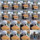 에버랜드 | [에버랜드] 260116 후기