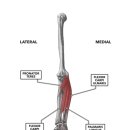 원앤온리PT 이미지
