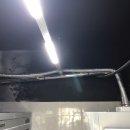 역전할머니맥주 진도점 이미지