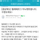 오늘 또 사기꾼 정보(힐레베르그 자누텐트 )사기입니다 이미지