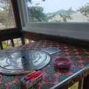 숲속의바다 숲속동 이미지