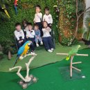 퐁피두창의스쿨어린이집 이미지