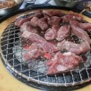 마포갈매기 이미지