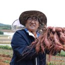 창대농장 이미지