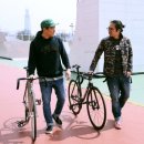 라비다(Lavida) 이미지