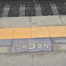 등대약국 | 여수 ktx 타고 초저녁도착 돌문어삼합 볶음밥까지 맛있는 낭만한잔79포차 하멜등대뷰 내돈내산솔직후기