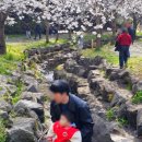 대왕수천 이미지