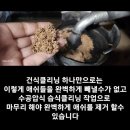 광주카닥터