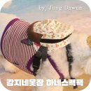 예쁘개&사랑스럽개 | 강아지하네스가방 강지네옷장 강아지백팩