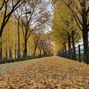 송정둑길 이미지