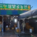 삼밭골농원