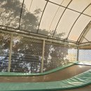 일랑일랑 | [서산 여행] 서산 일랑일랑펜션 후기 🌿 계곡 옆 힐링 물놀이 명소, 가족여행으로 최고였어요!