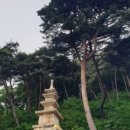 천년주공마트 이미지