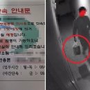 청년결백 이미지