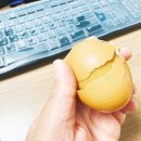 구영축산 이미지