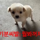 없음 이미지
