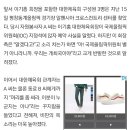 [단독] 대한체육회 이기흥 회장, 사과도 갑질…당사자 없었다 이미지