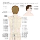 라이프웨이브 패치 경혈자리 추천이유