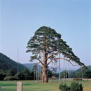 속리산 이미지