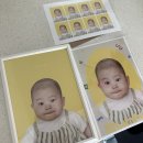 한라사진관 | 송도유월사진관에서 아기백일기념 컬러증명사진 찍기 (내돈내산 솔직 후기!)