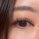 래쉬페이지 | 문정역속눈썹펌 래쉬페이지 후기 – 지금까지 받아본 중 단연 최고였어요