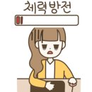 광양사슴농장 이미지