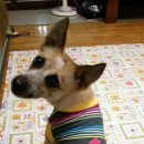 나원1리 이미지