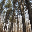 안동여자고등학교 이미지