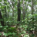 수리봉목장 이미지