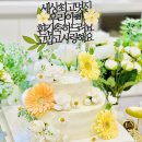 리리샵 - 사하구 | 일산 주문제작 커스텀 생화케이크 / 헬륨풍선 / 풍선 꽃다발 리리샵 (RIRISHOP) 후기
