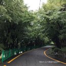 종화경로당 네이버블로그