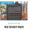 반남박씨박원도묘 이미지