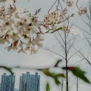 시민공원 북문 앞 횡단보도 이미지