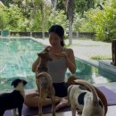 e좋은 호스텔 | 발리에서 생긴 일(호스텔, 서핑, 와룽시카, 퍼피요가, 데우스)