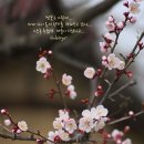 그렇게 다시 이미지