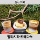 [일산 카페] 벨라시타 추천 카페 카페다누 고양터미널 근처 카페