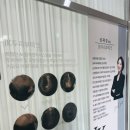 제이케이 메디 이미지