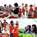 백용기농장 | 2026 논산 딸기축제 체험 농장 추천! 2월 아이와 가볼만한곳 찐후기